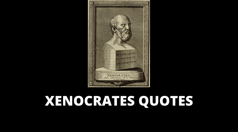 Xenocrates quotes