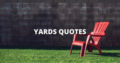 YARD QUOTES featured