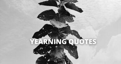 YEARN QUOTES featured