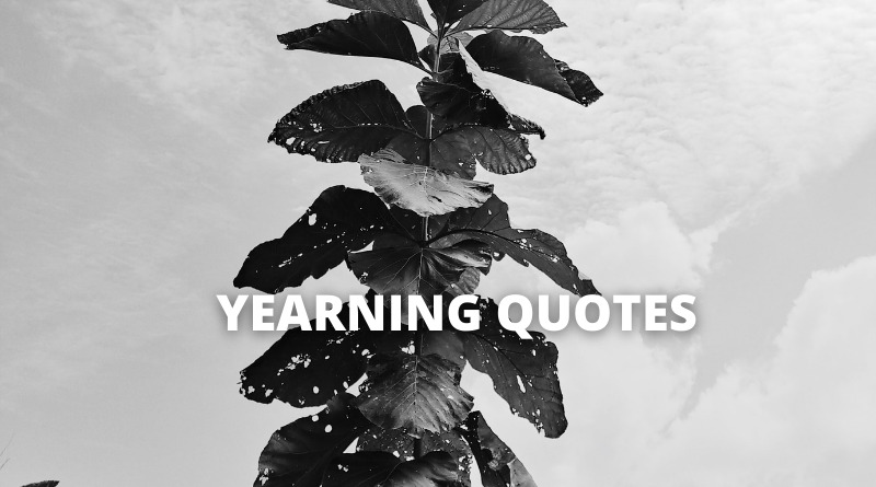 YEARN QUOTES featured