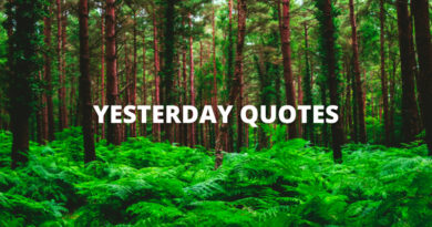 YESTERDAY QUOTES featured