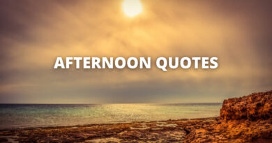 afternoon quotes featured
