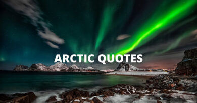 arctic quotes featured