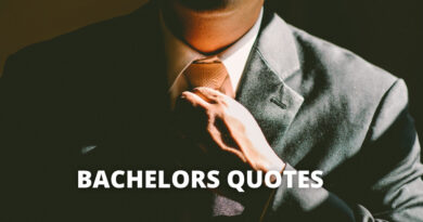 bachelor quotes featured