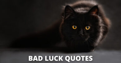 bad luck quotes featured