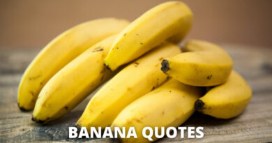 banana quotes featured