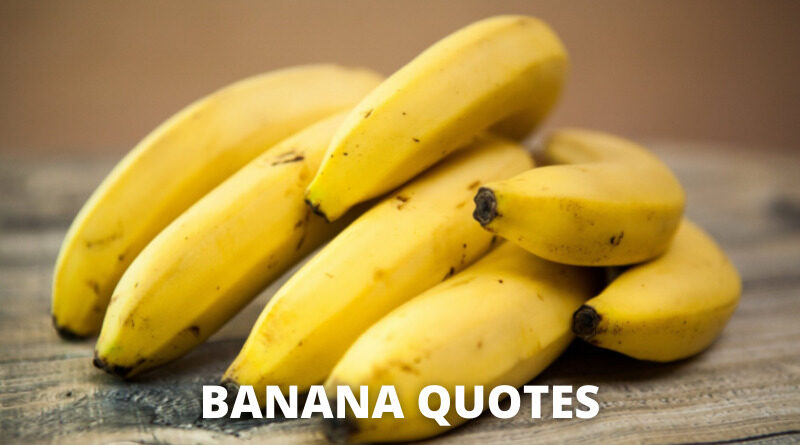 banana quotes featured
