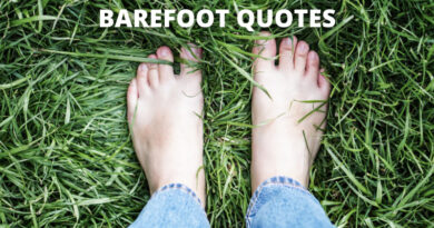barefoot quotes featured