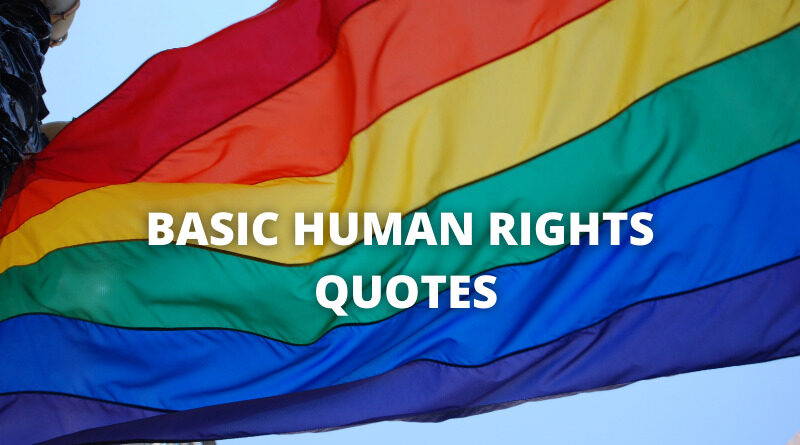 basic human rights quotes featured