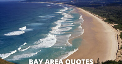 bay area quotes featured