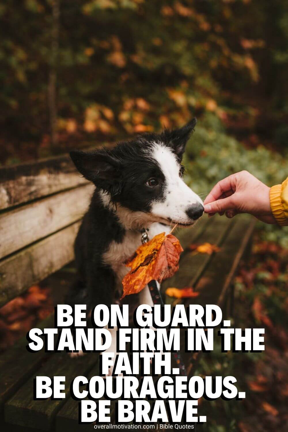 be on guard