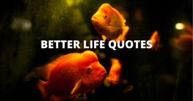 better life quotes featured