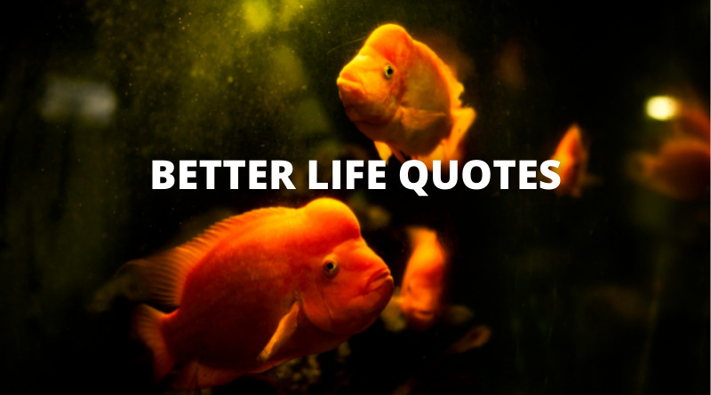 better life quotes featured