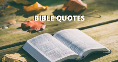bible quotes featured