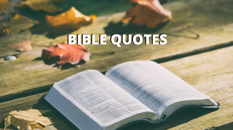 bible quotes featured