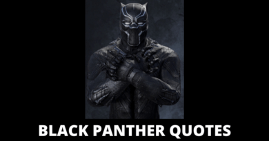 black panther quotes featured