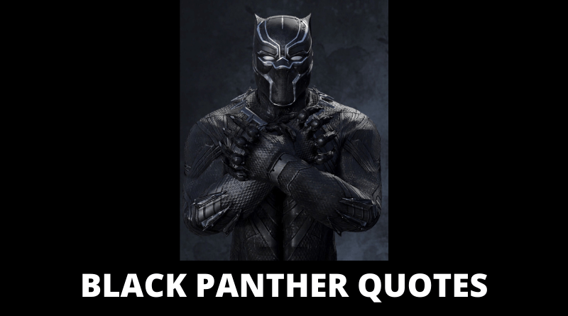 black panther quotes featured