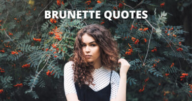 brunette quotes featured