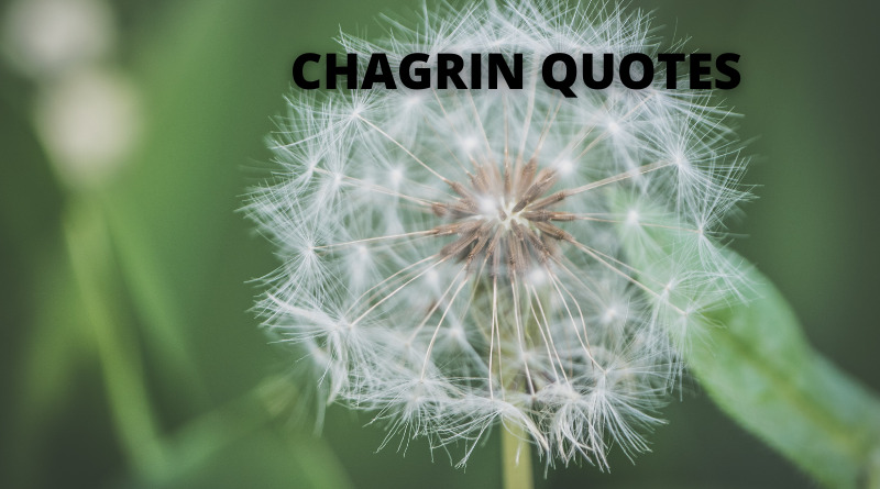 chagrin quotes featured