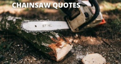 chainsaw quotes featured