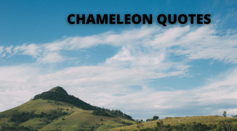 chameleon quotes featured