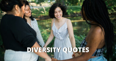 diversity quotes featured