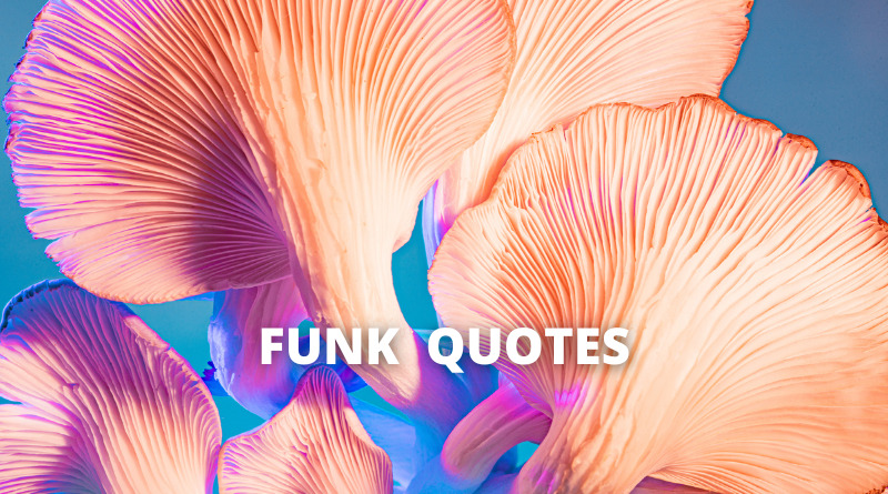funk quotes featured