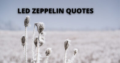 led zeppelin quotes featured