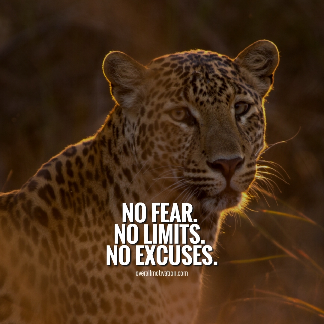 no excuses quotes