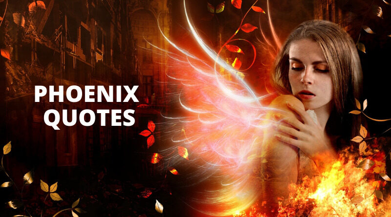 phoenix Quotes Featured