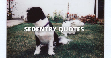 Sedentary quotes featured