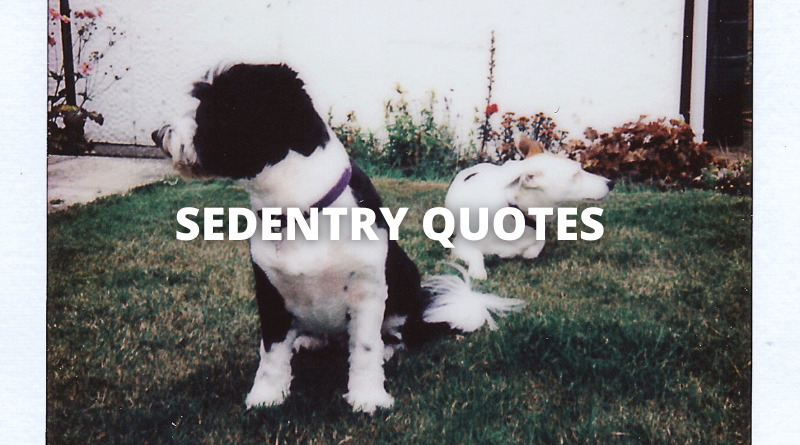 Sedentary quotes featured
