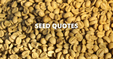 seed quotes featured
