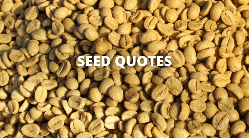 65 Seed Quotes On Success In Life - OverallMotivation