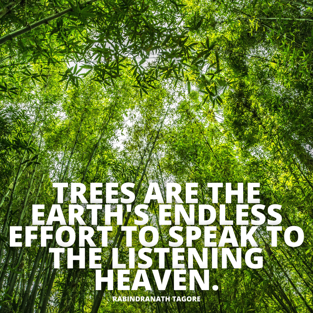 trees are the earths endless tress quotes