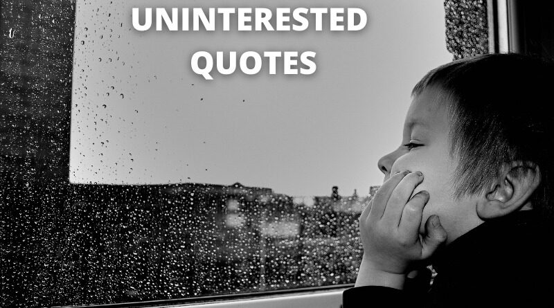 uninterested quotes featured