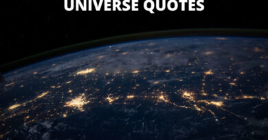universe quotes featured