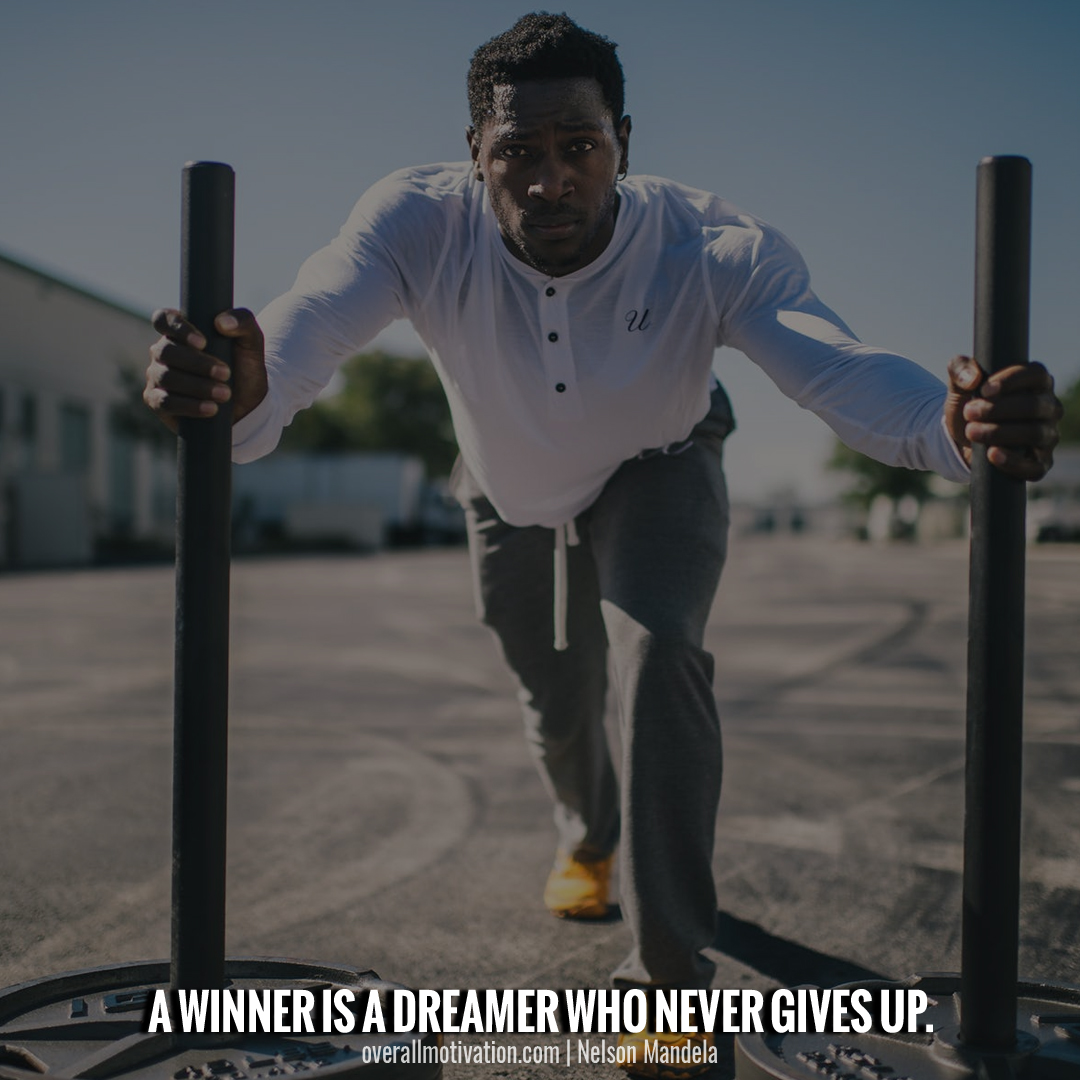 winner is dreamer