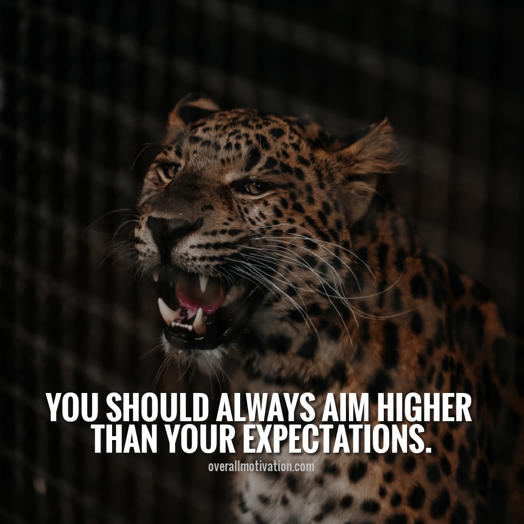 you should always aim higher